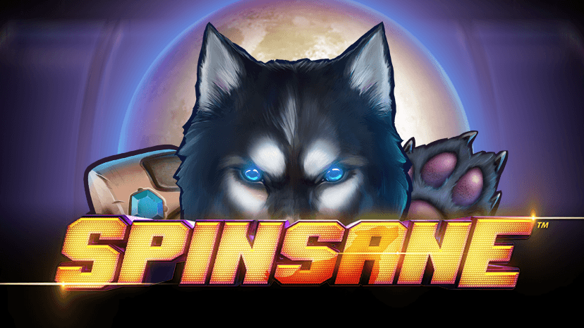 Spinsane