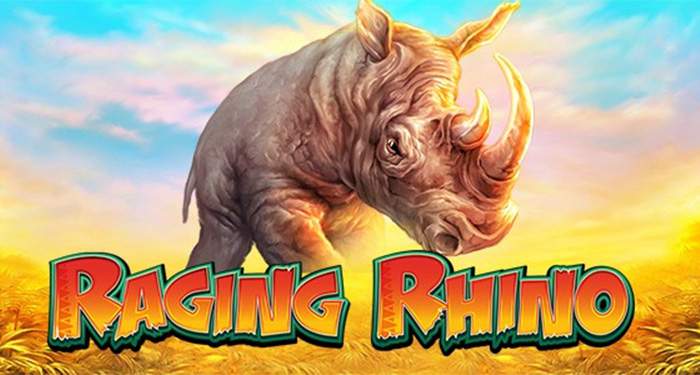 Raging Rhino