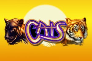 Cats review